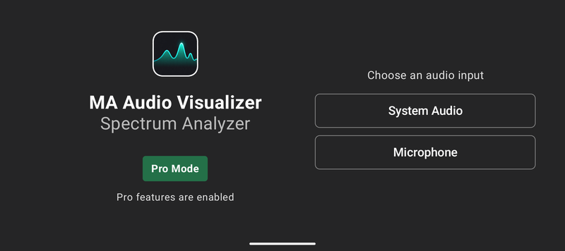 About the audio input